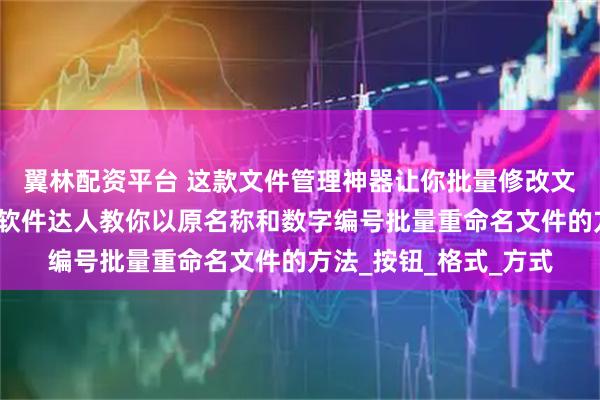 翼林配资平台 这款文件管理神器让你批量修改文件名快如闪电，办公软件达人教你以原名称和数字编号批量重命名文件的方法_按钮_格式_方式