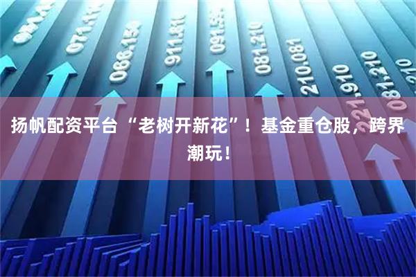 扬帆配资平台 “老树开新花”！基金重仓股，跨界潮玩！