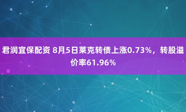 君润宜保配资 8月5日莱克转债上涨0.73%，转股溢价率61.96%