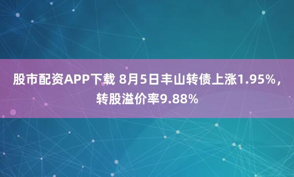股市配资APP下载 8月5日丰山转债上涨1.95%，转股溢价率9.88%