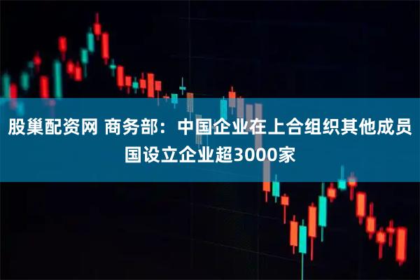 股巢配资网 商务部：中国企业在上合组织其他成员国设立企业超3000家